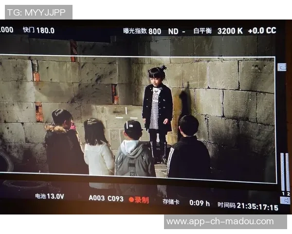 麻豆传媒兑换码-探索麻豆传媒的奥秘,兑换码的价值与应用-麻豆传媒麻豆币兑换码 麻豆传媒兑换码-探索麻豆传媒的奥秘,兑换码的价值与应用-麻豆传媒麻豆币兑换码